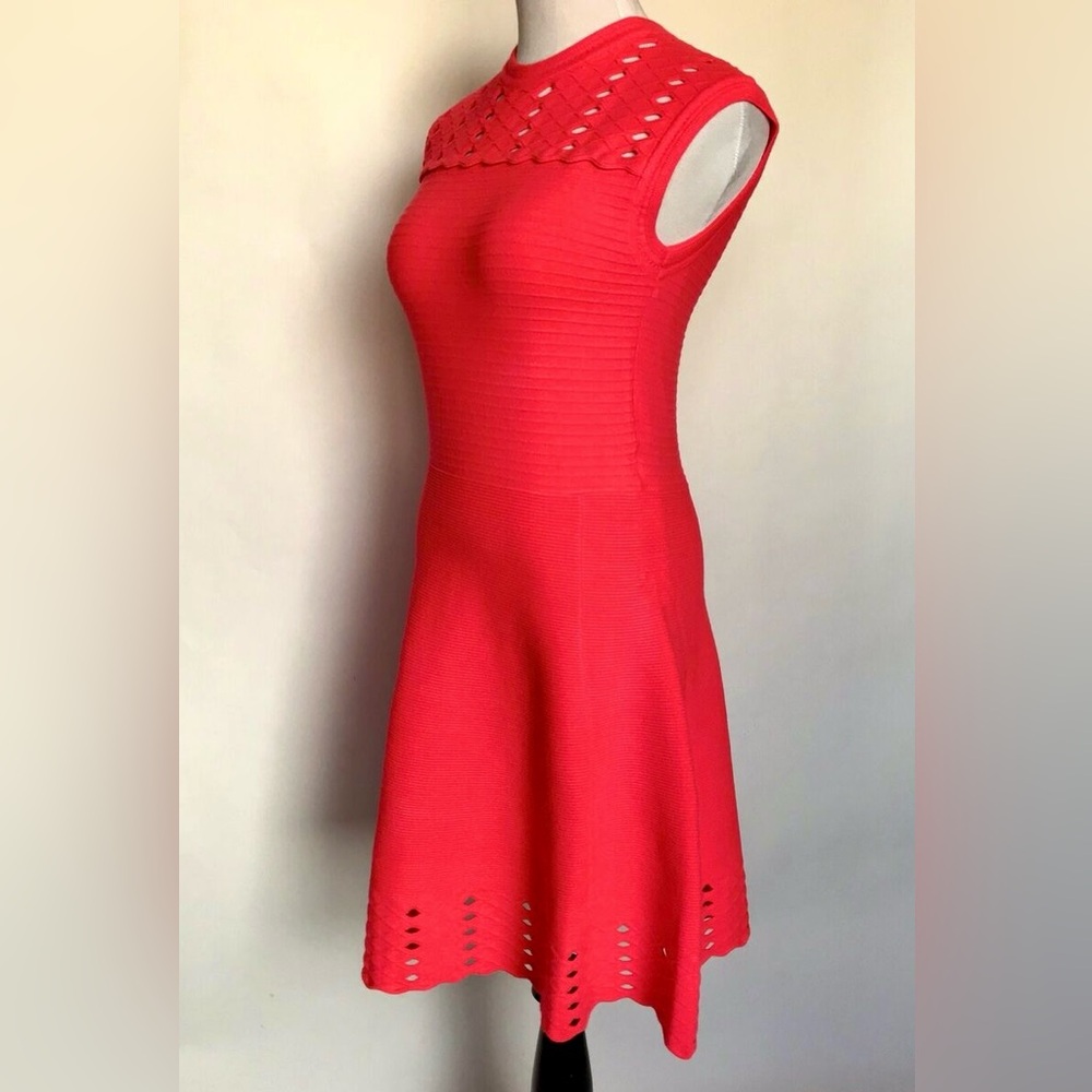 Ted Baker London Pink Dress